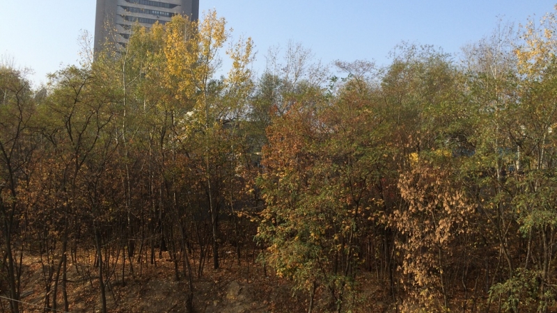 $117000 / Герцена 35, Киев, Киев / Продажа / Квартира / 84 кв.м. / 2 комнат