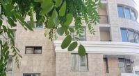 $172000 / Дмитриевская 60/19, Киев, Киев / Продажа / Квартира / 93 кв.м.